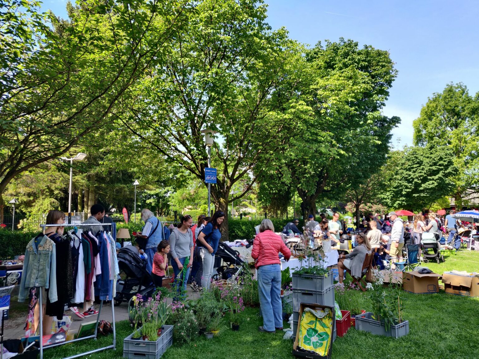 Flohmarkt-Zeit im Auerbacher Kronepark